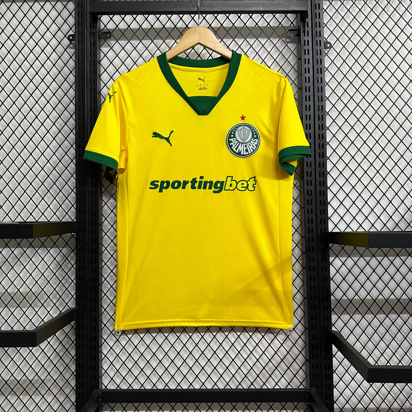 Palmeiras 2026/2027 Third fans  version