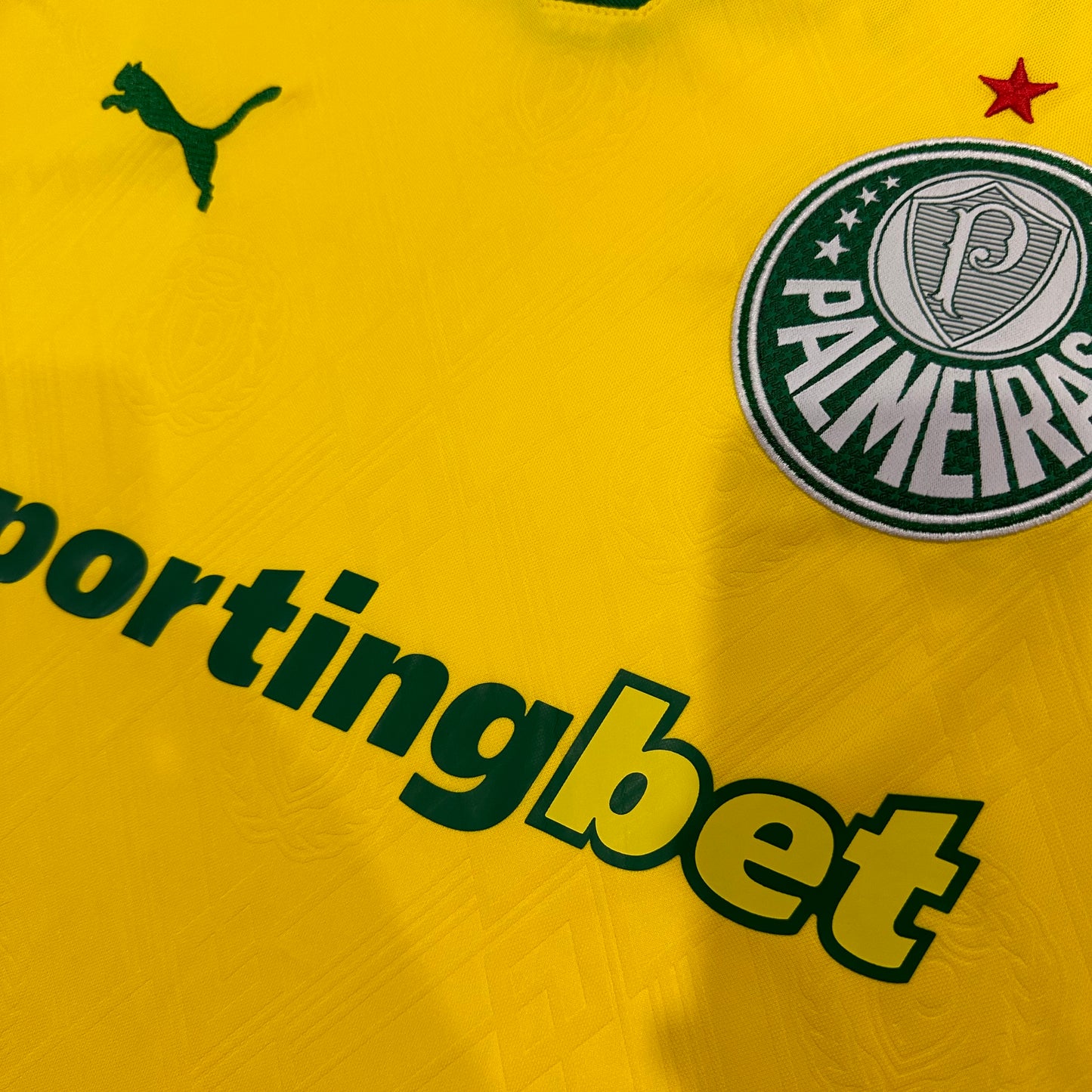 Palmeiras 2026/2027 Third fans  version
