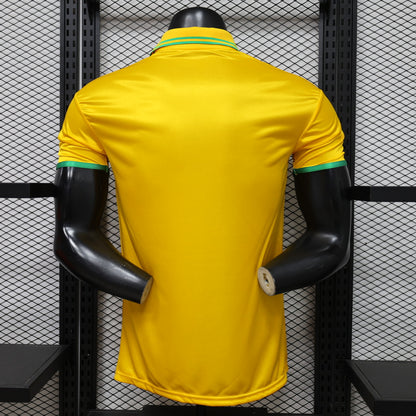 Brazil x Jordan Casual fit