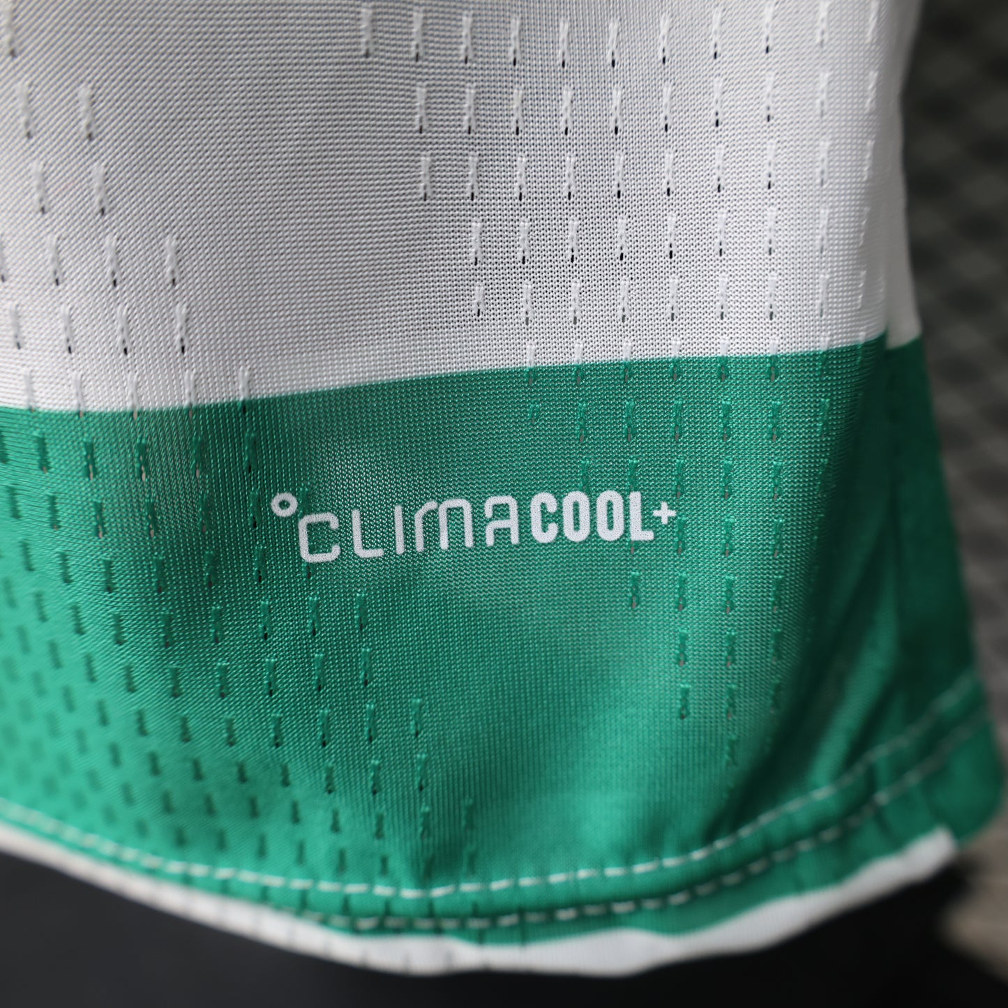 2026/2027 Celtic home players edition