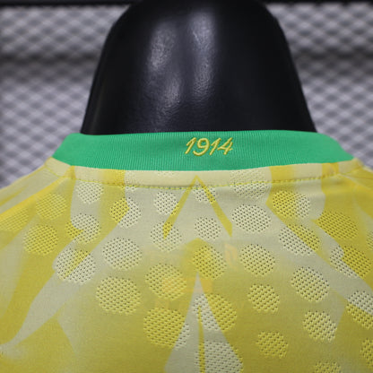 Brazil 2026/2027 special edition players version