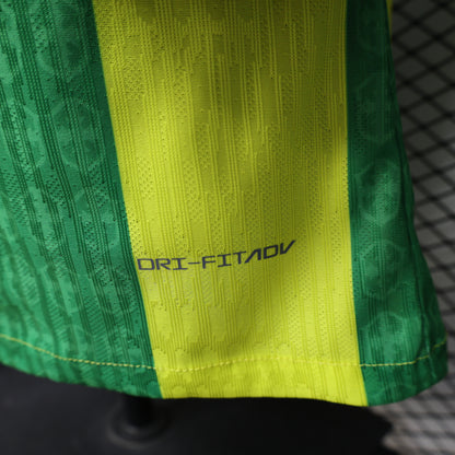 Brazil 2026 special edition players version