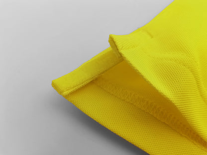 2022  Brazil home