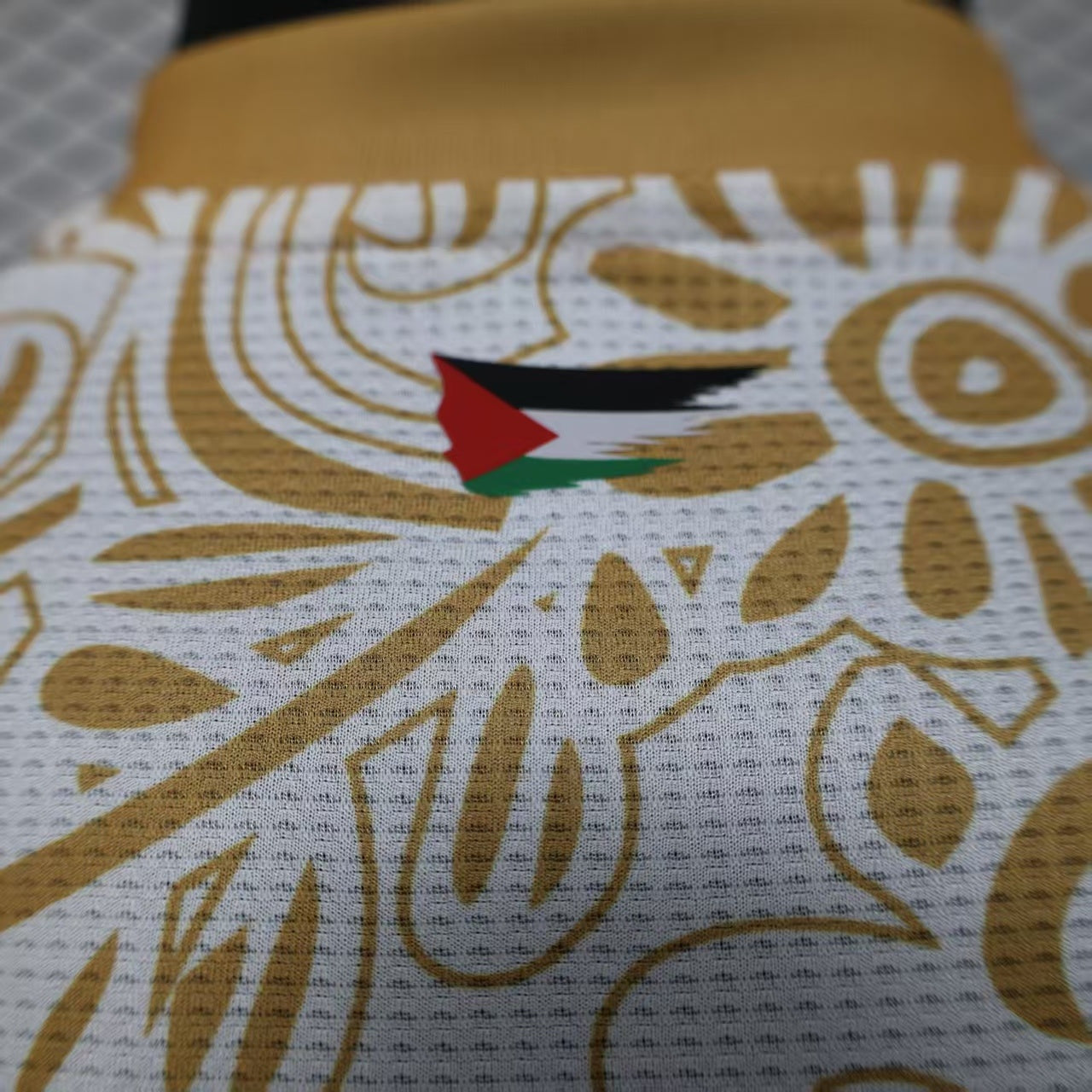 FC Palestina special edition players version