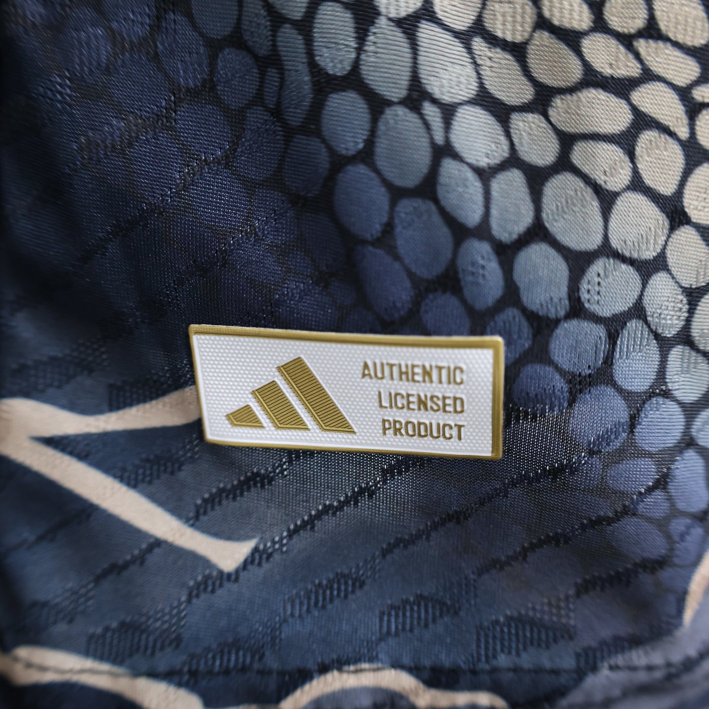 Japan (Beige Base with Dragon ) special edition