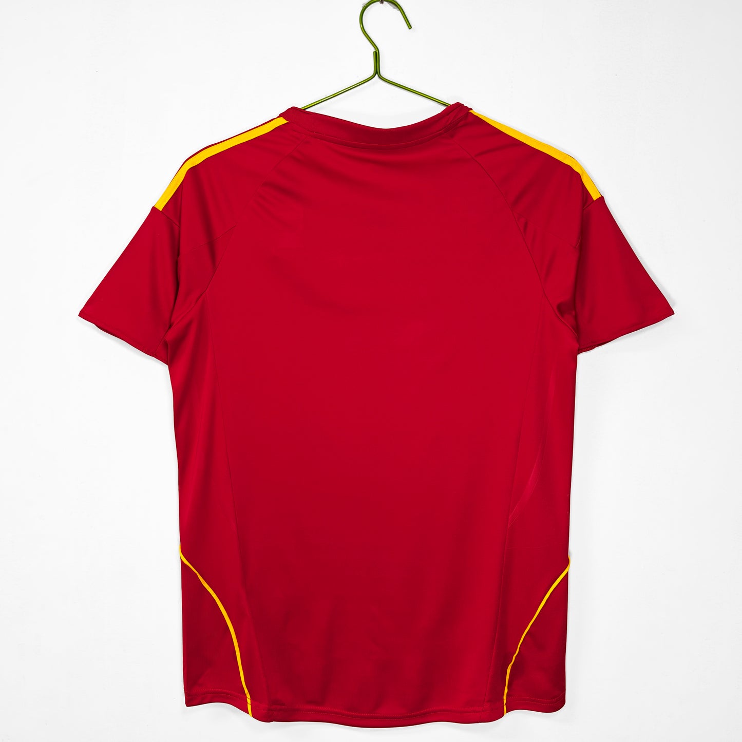2008 Spain home