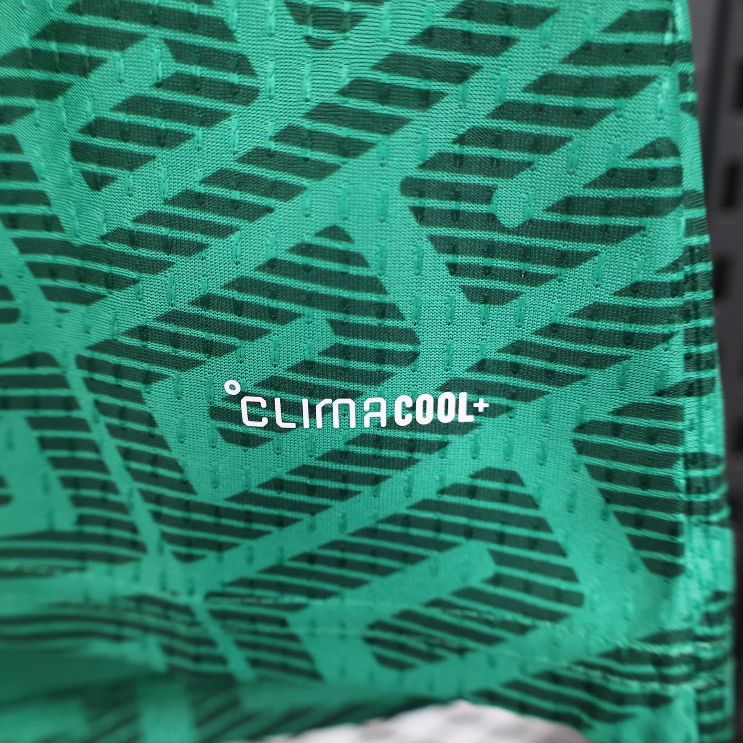 Mexico 2026 home fan version