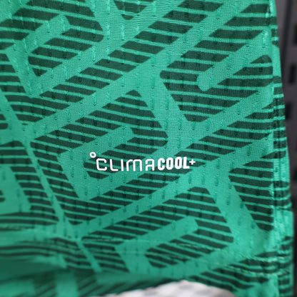 Mexico 2026 home fan version