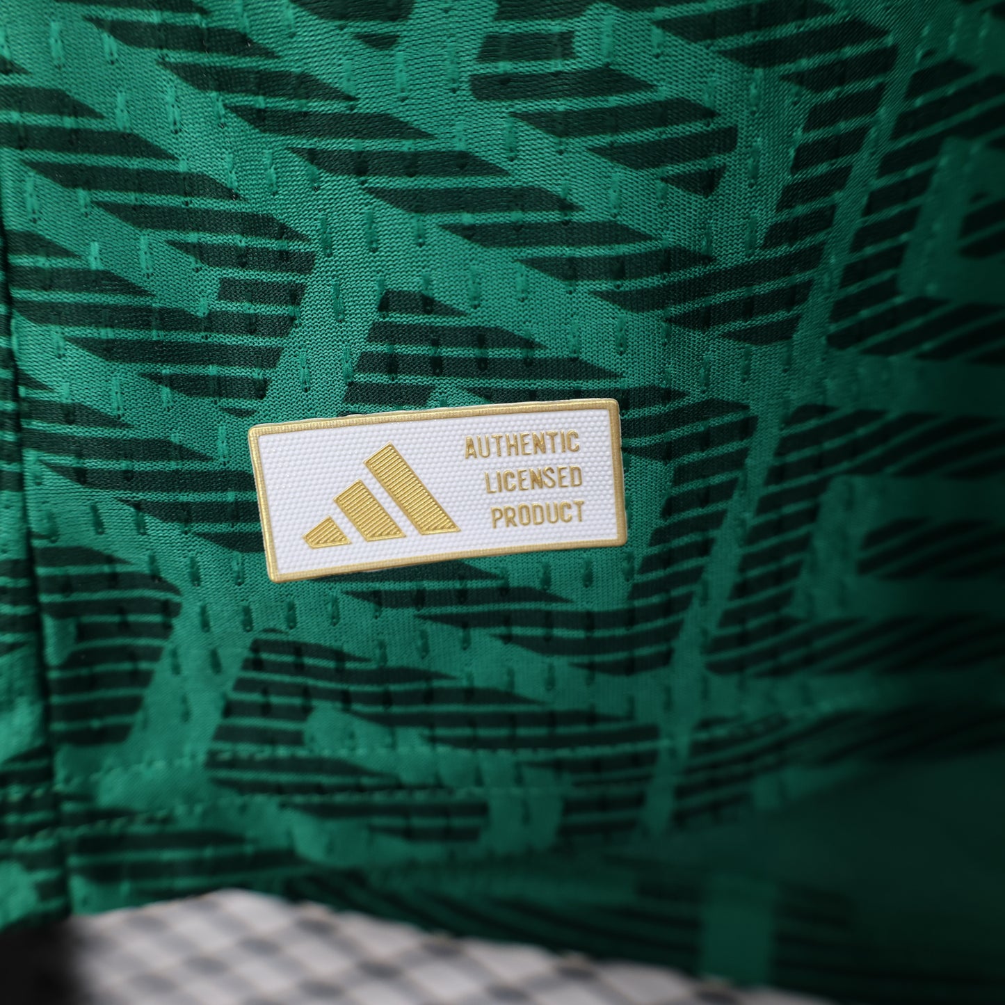 Mexico 2026 home fan version