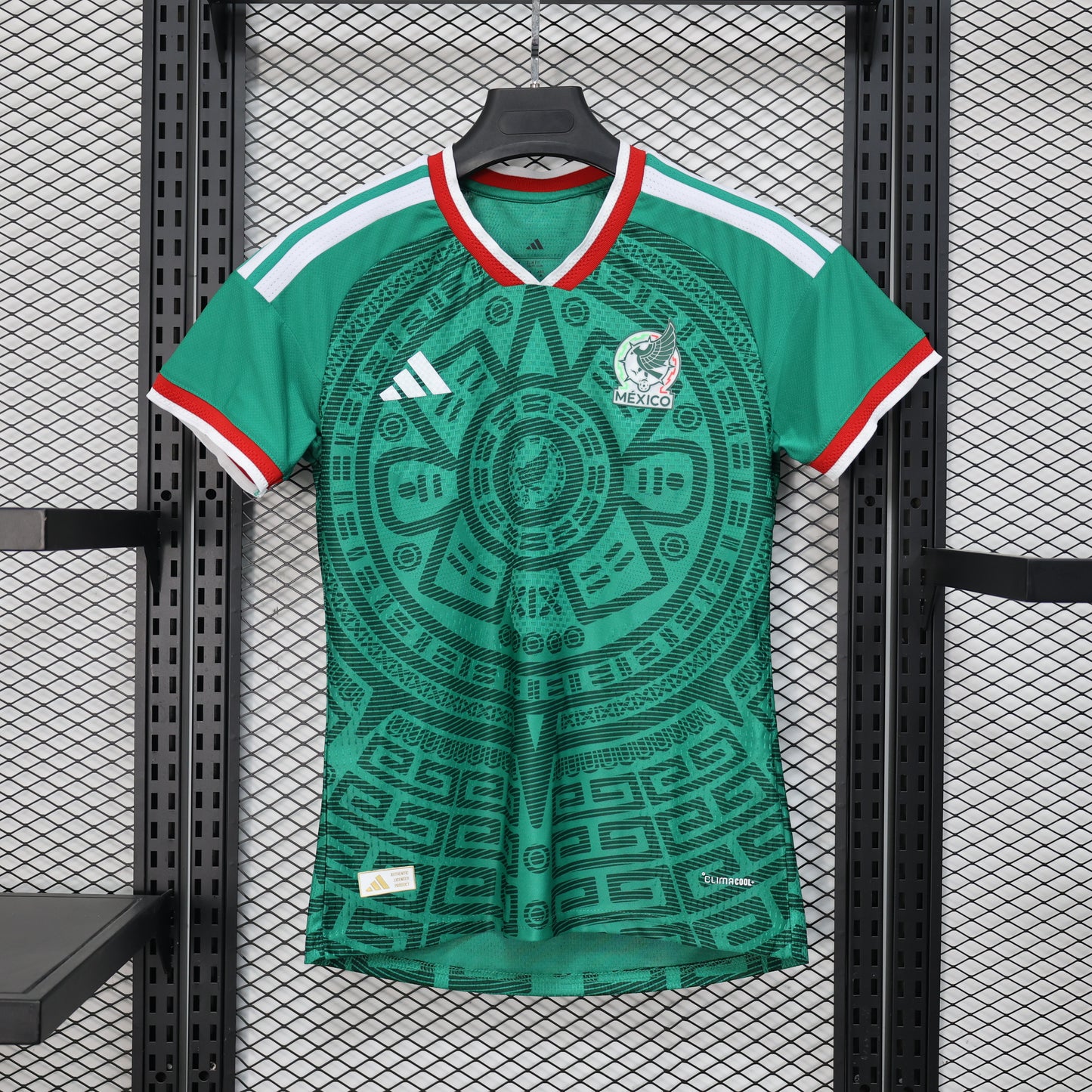 Mexico 2026 home fan version