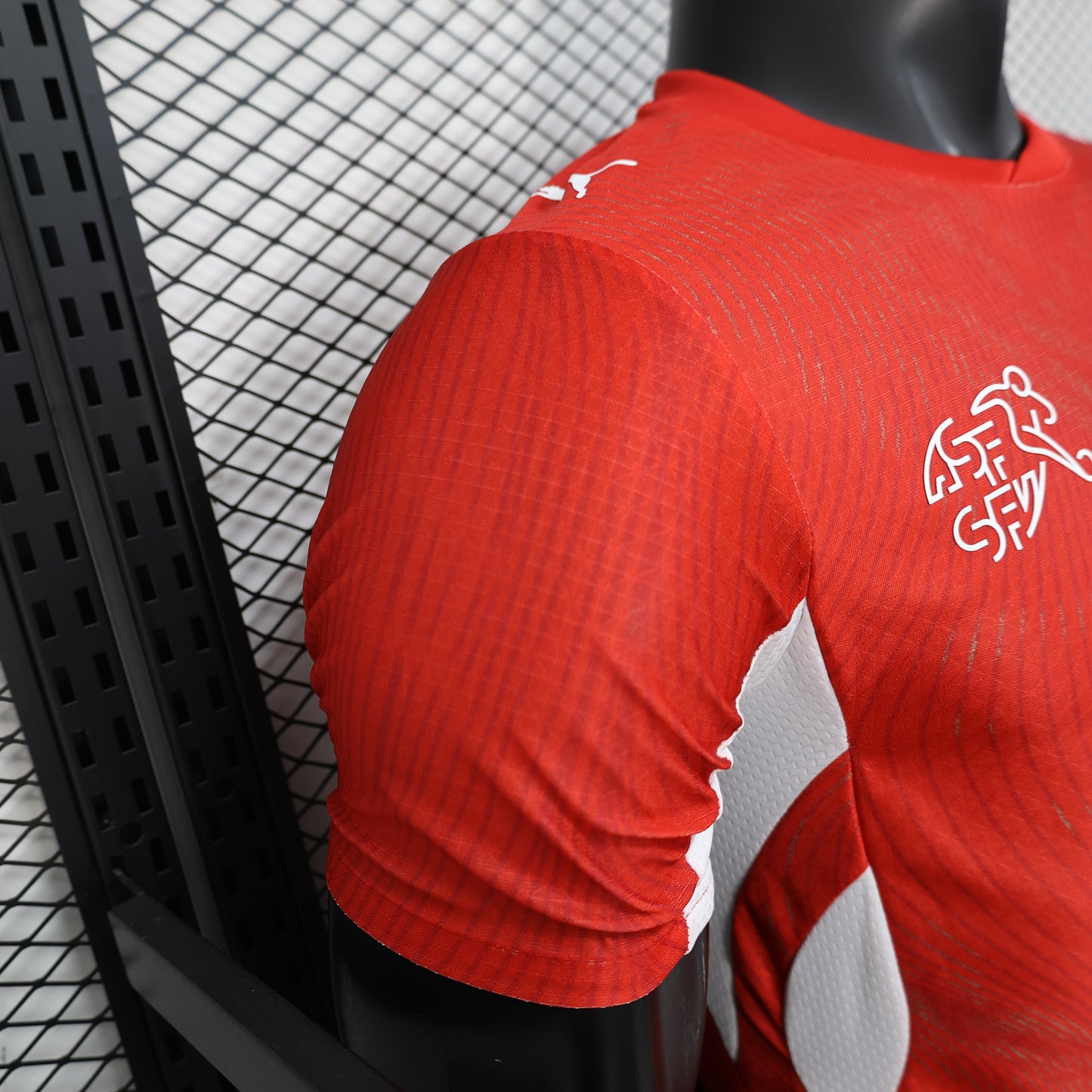 Switzerland 2026 home player version