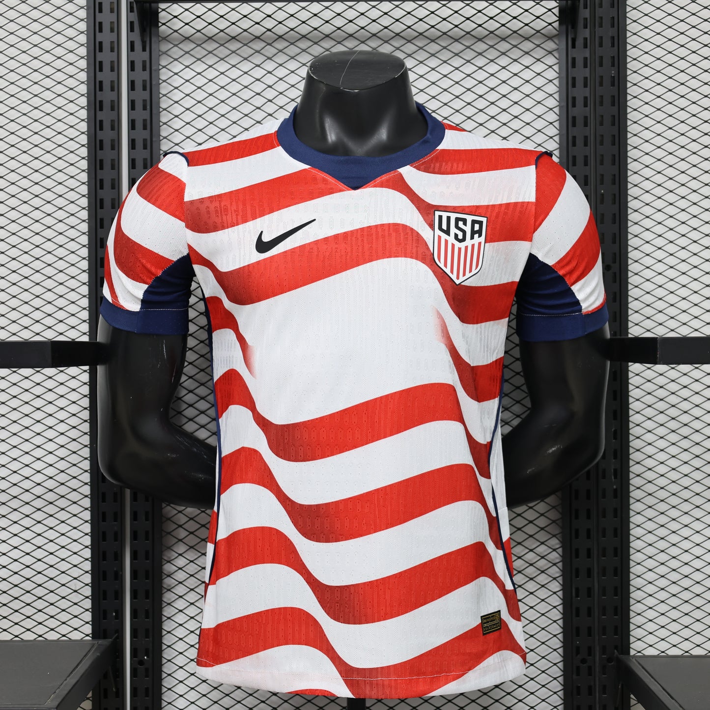 USA 2026 home player version