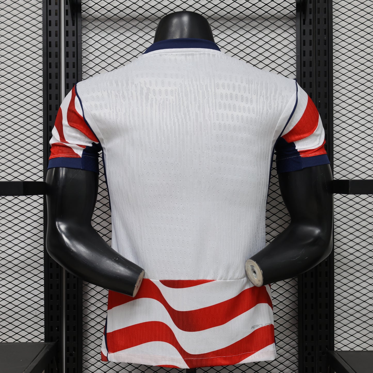 USA 2026 home player version