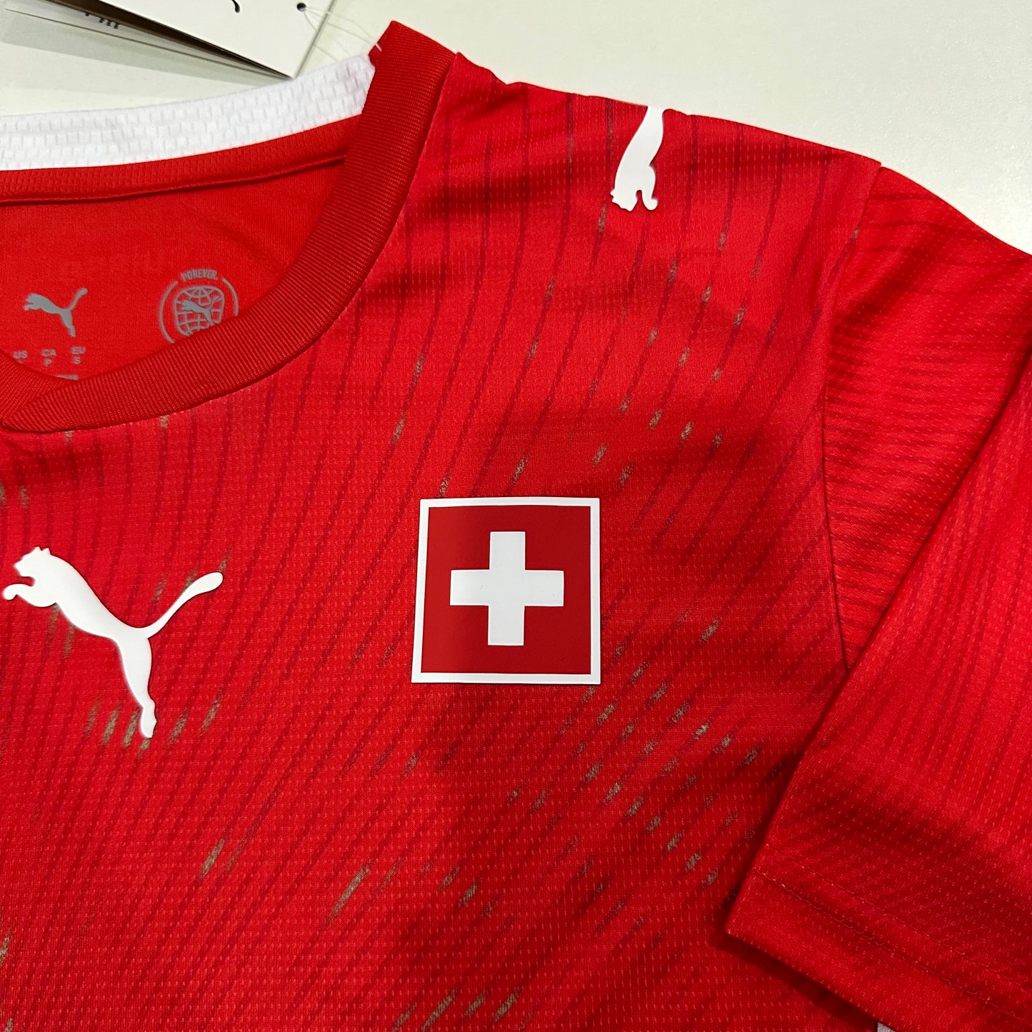 Switzerland 2026 home fan version