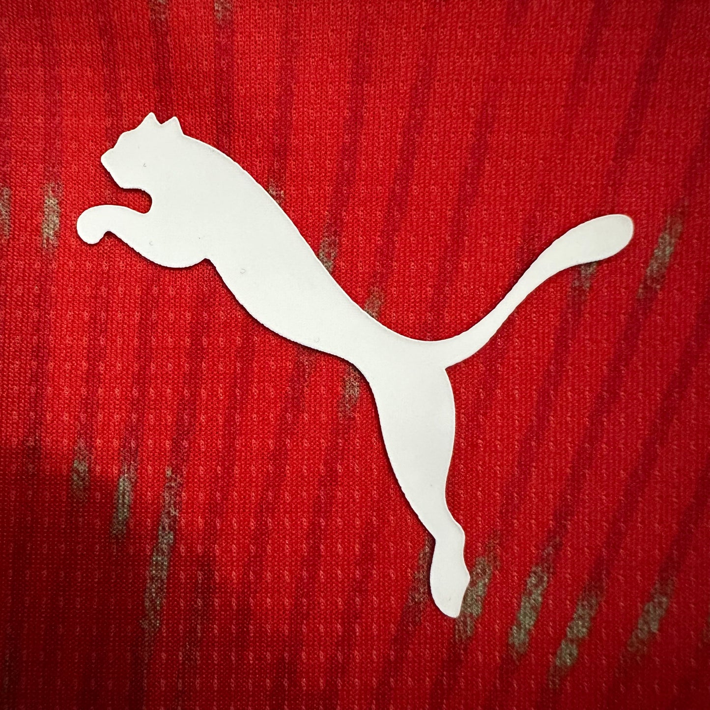 Switzerland 2026 home fan version