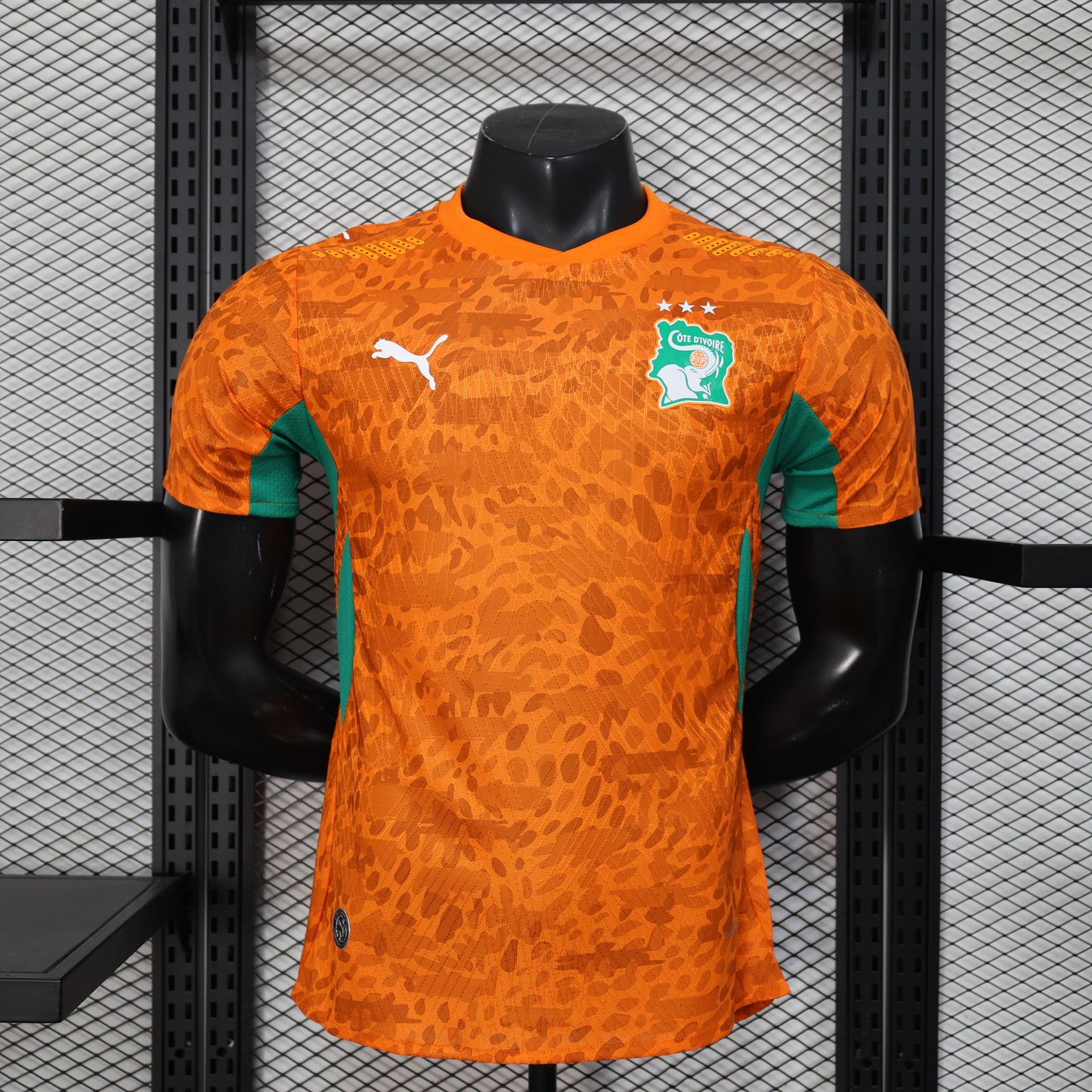Ivory Coast 2026 home players version