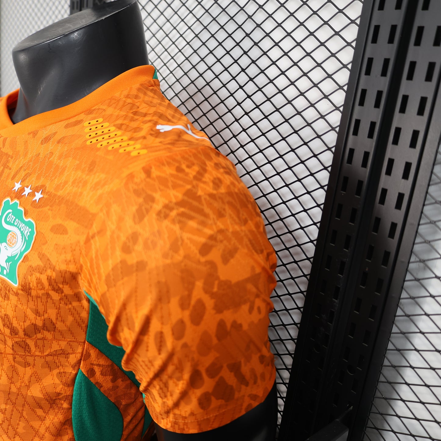 Ivory Coast 2026 home players version