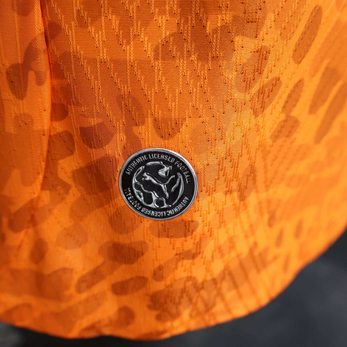Ivory Coast 2026 home players version