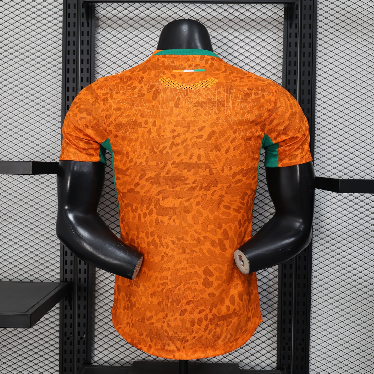 Ivory Coast 2026 home players version
