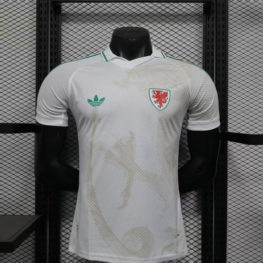 Wales 2026 away players version
