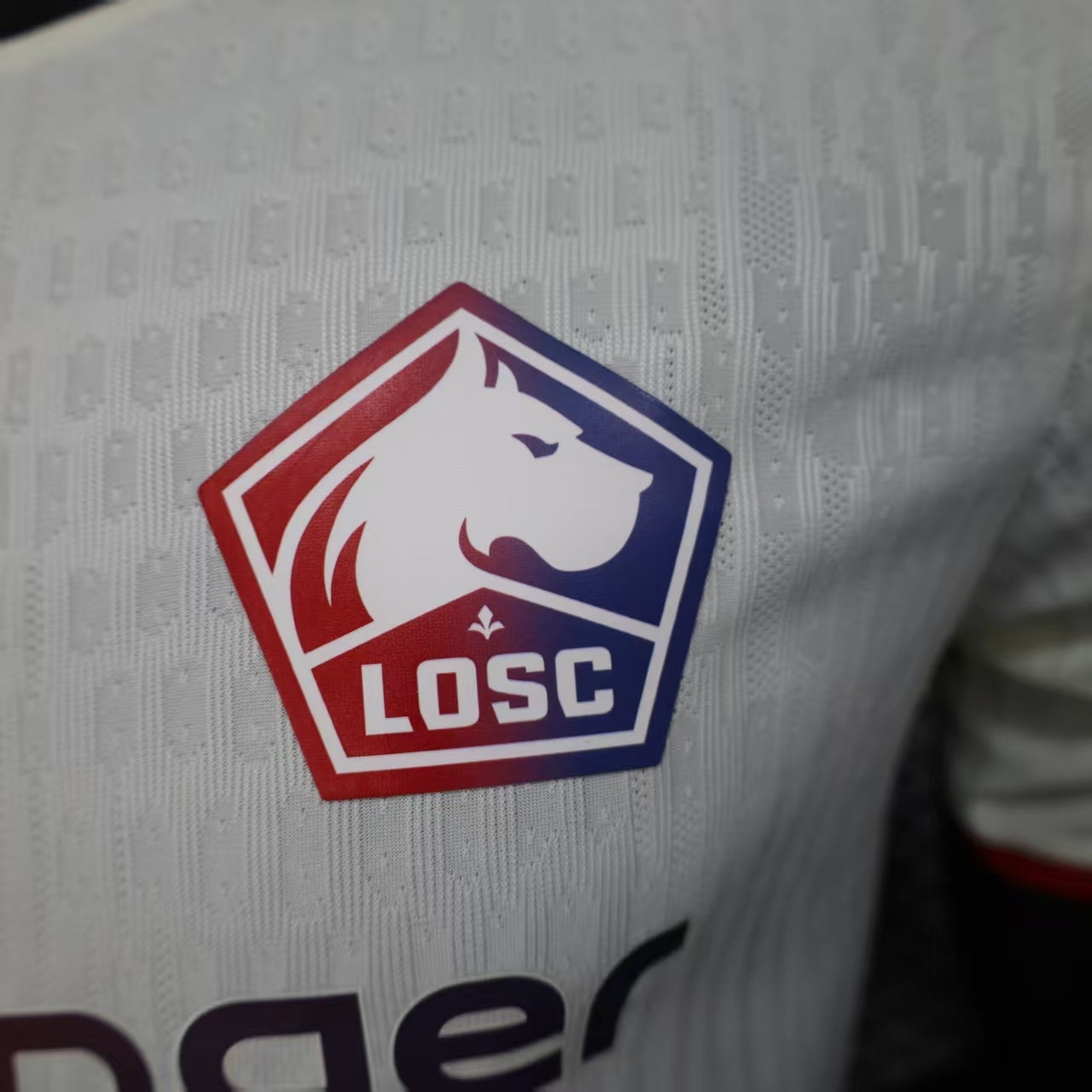 LOSC Lille 2025/2026 home players home