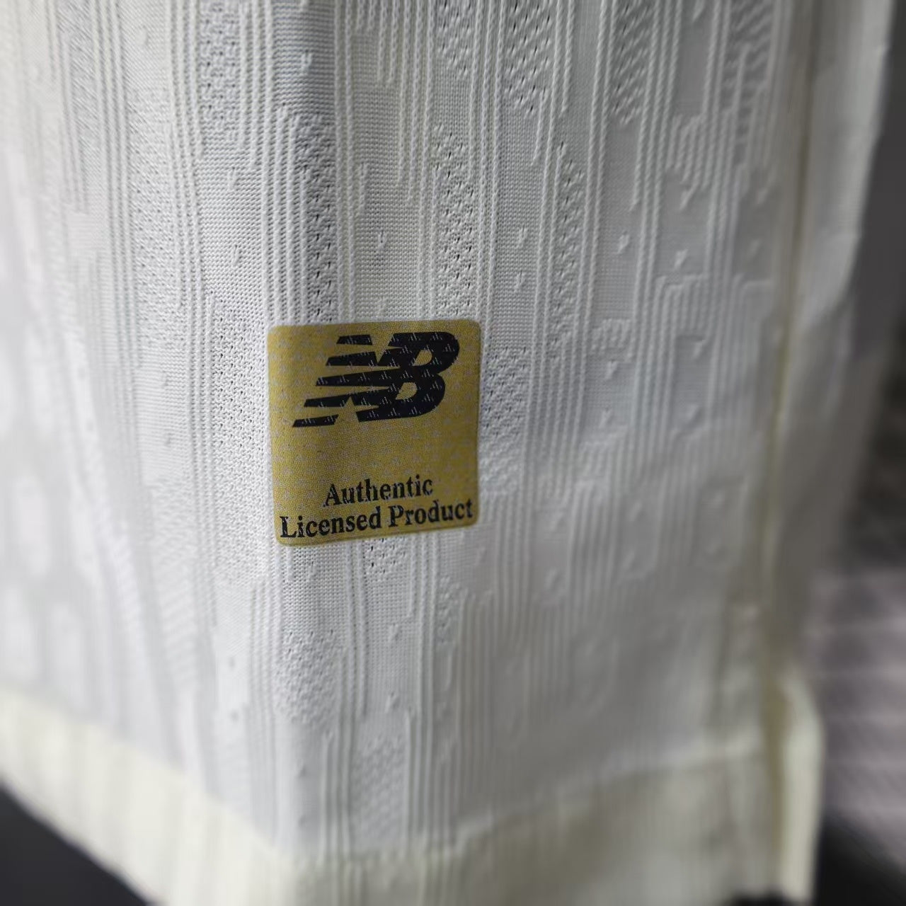 LOSC Lille 2025/2026 home players home