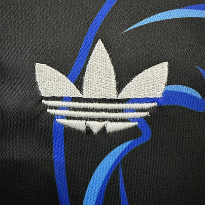 Argentina 2026 home fan version