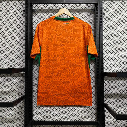 Ivory Coast 2026 home fan version