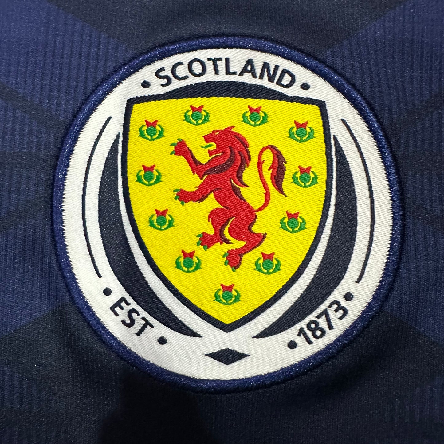 Scotland 2026 home fan version