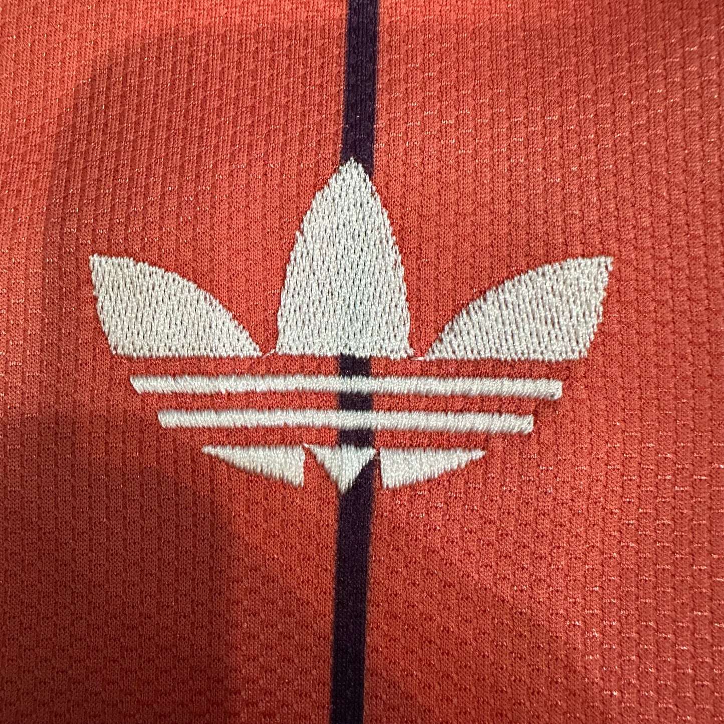 Scotland 2026 away fan version