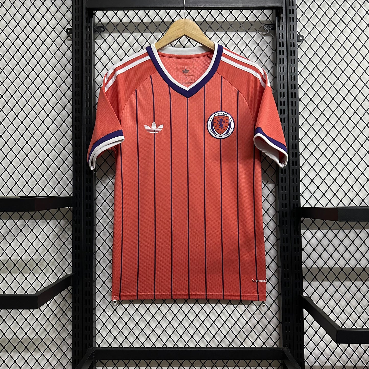 Scotland 2026 away fan version
