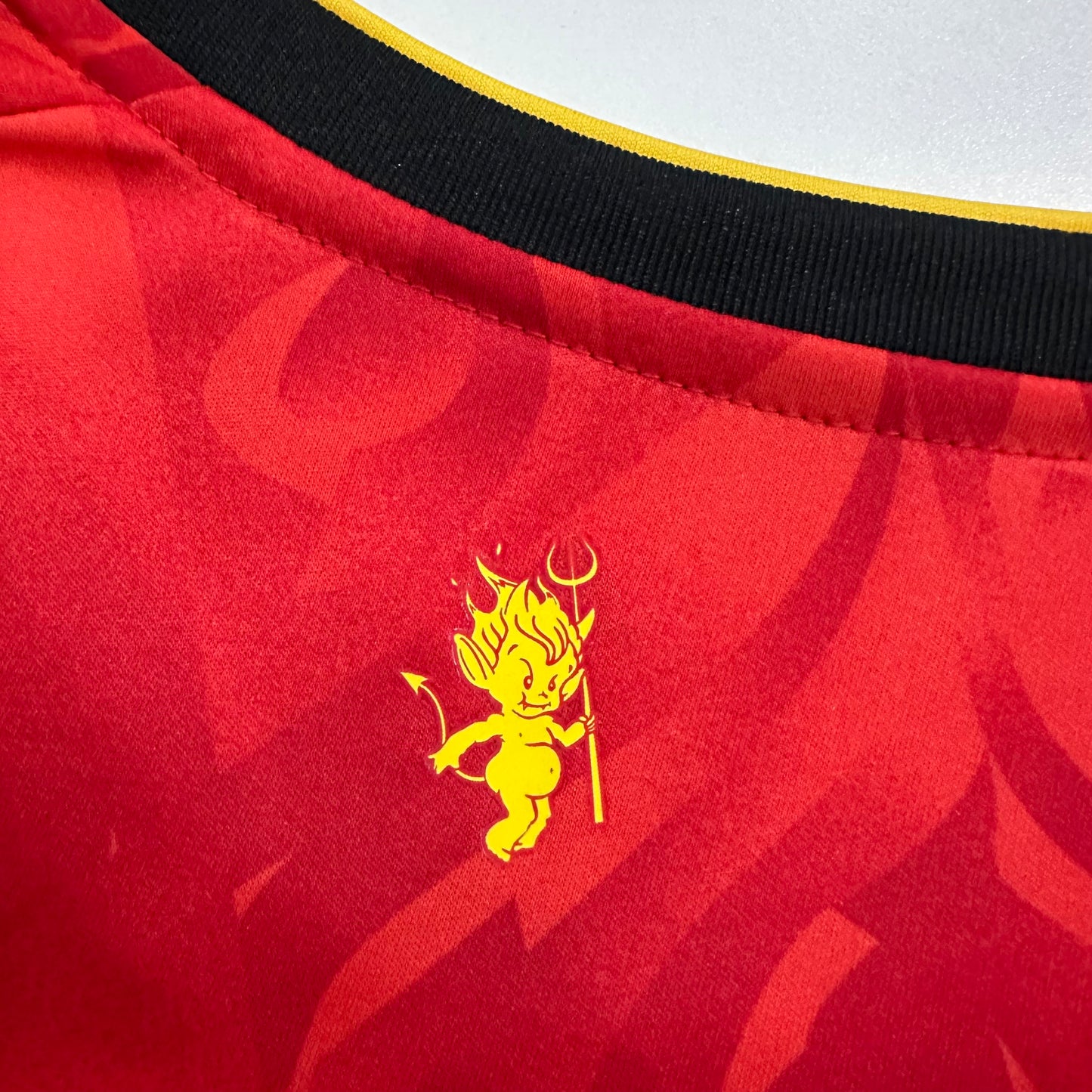 Belgium 2026 home fans version