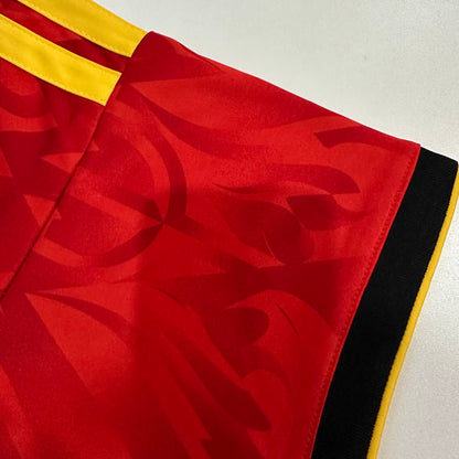 Belgium 2026 home fans version