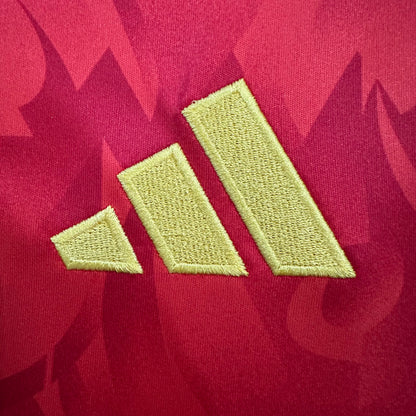 Belgium 2026 home fans version