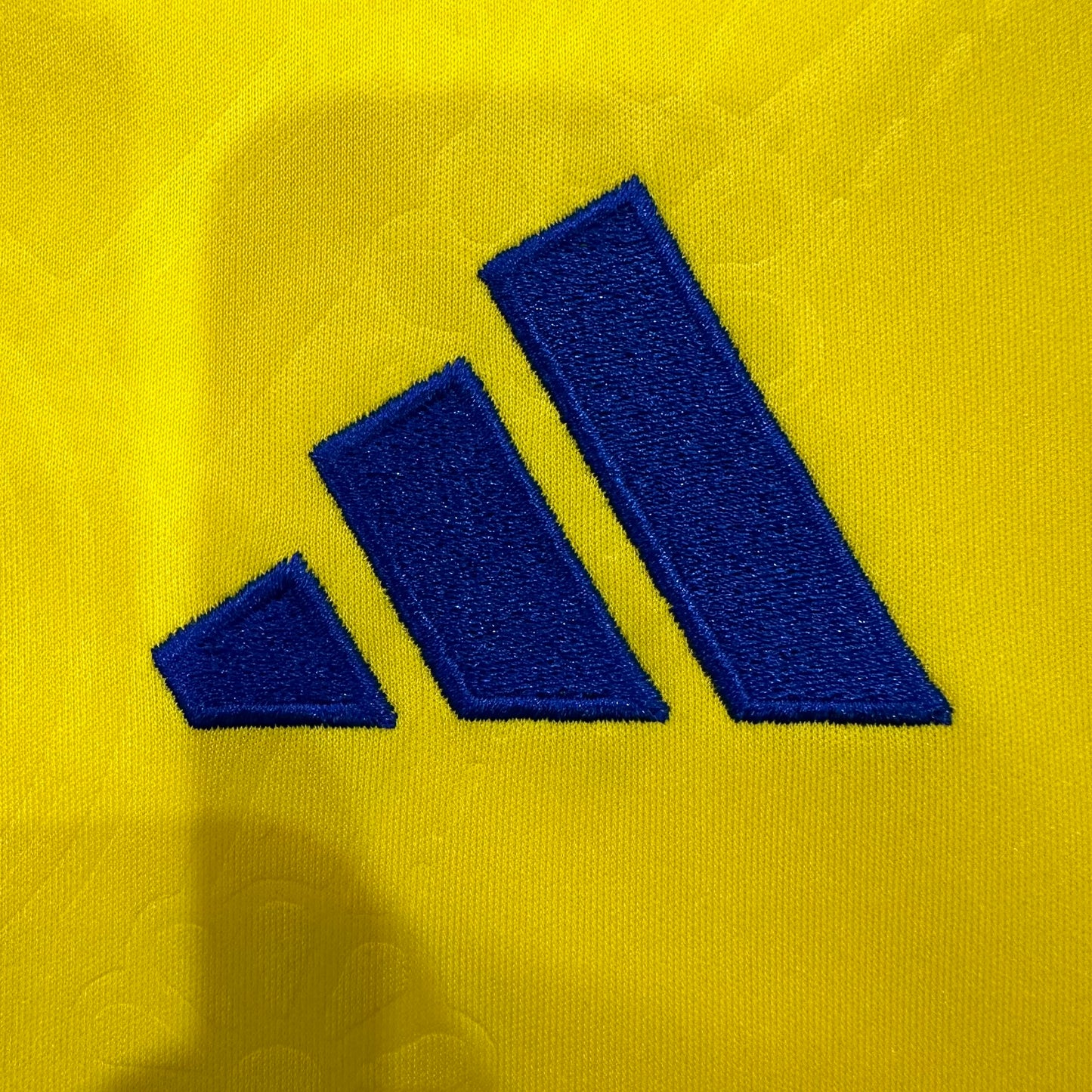 Sweden 2026 home fans version