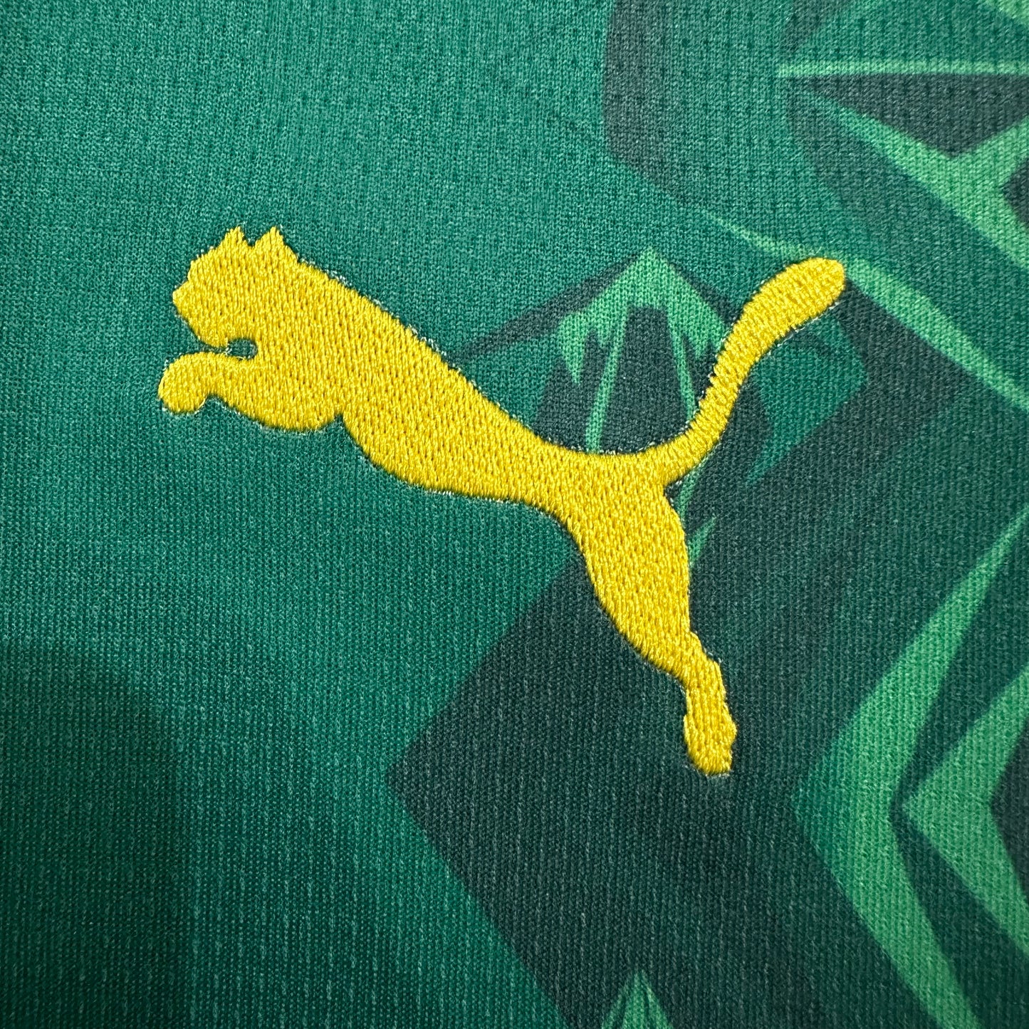 Senegal 2026 home fan version