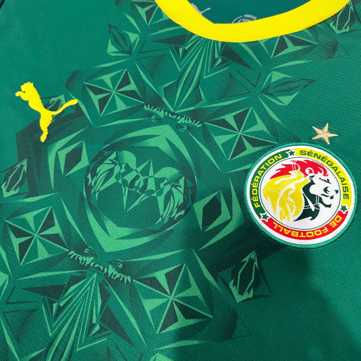 Senegal 2026 home fan version