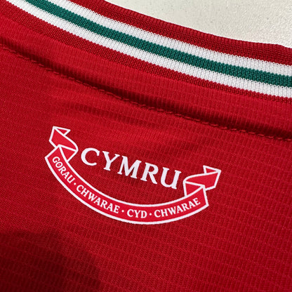 Wales 2026 home fans edition