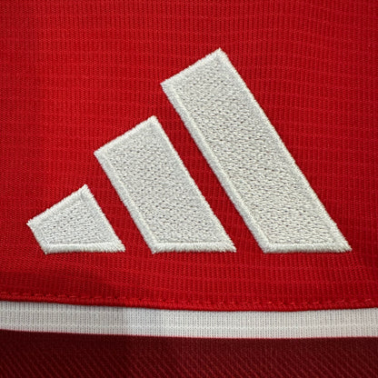 Wales 2026 home fans edition