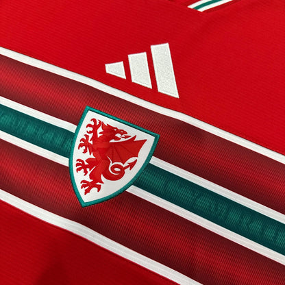 Wales 2026 home fans edition