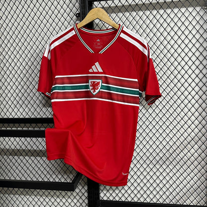 Wales 2026 home fans edition