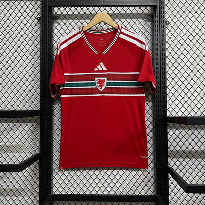 Wales 2026 home fans edition