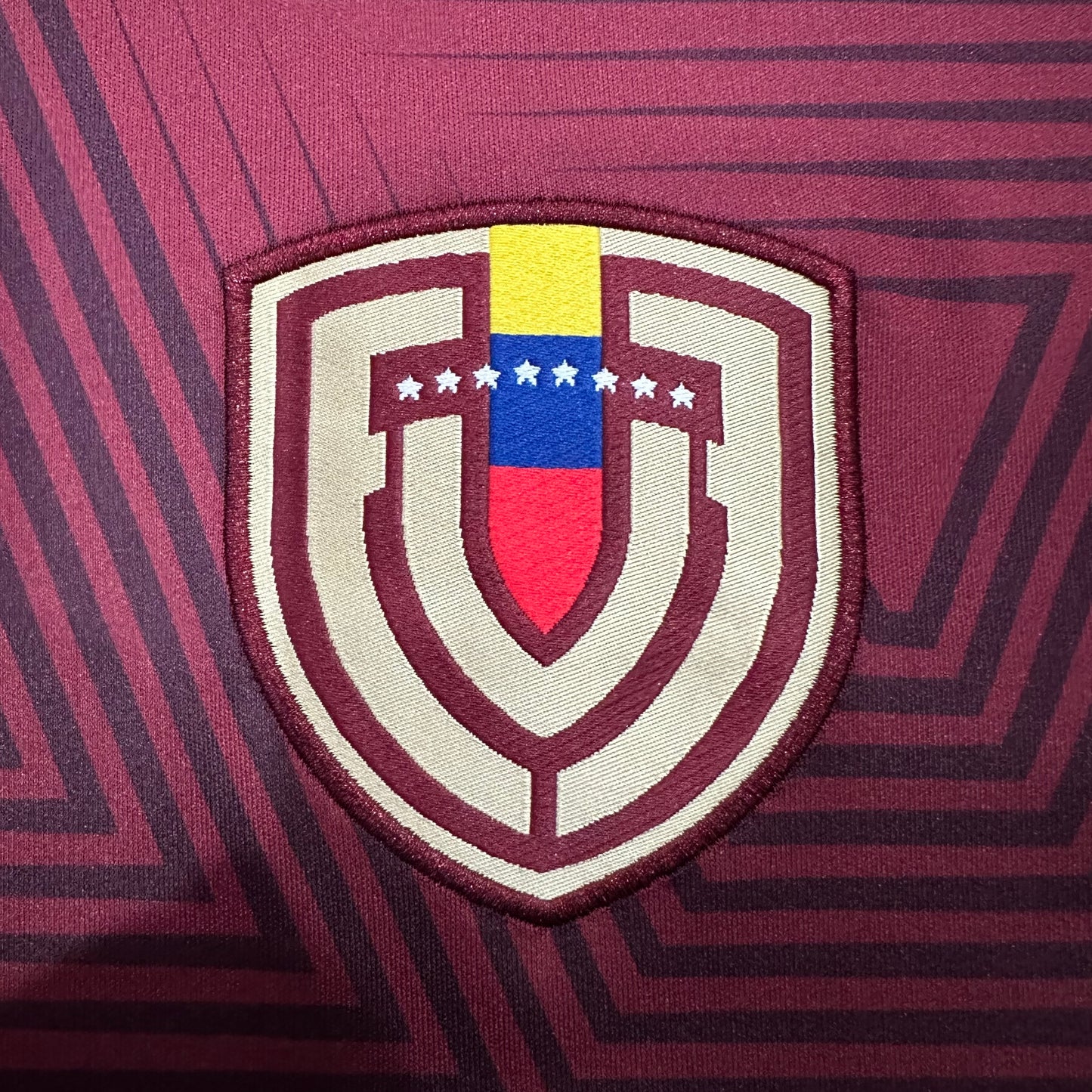 Venezuela 2026 home fans edition