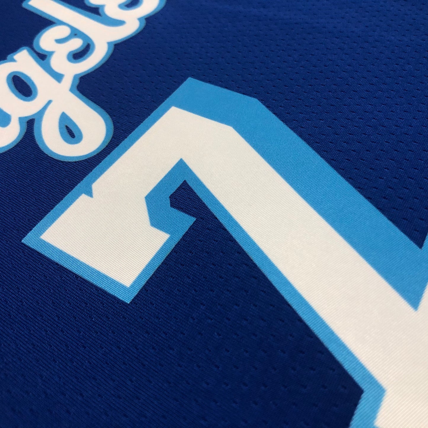 NBA Los Angeles Lakers Blue special edition Jersey