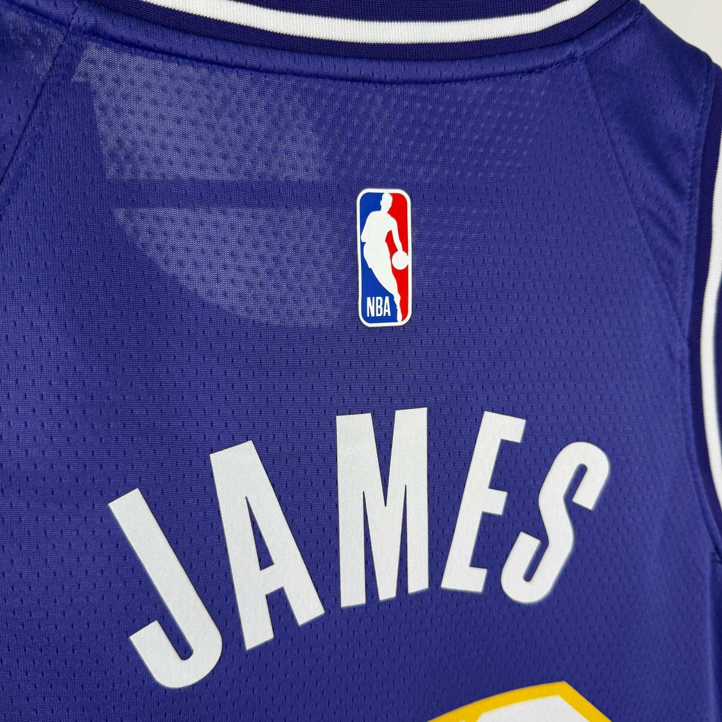 NBA Los Angeles Lakers 2025/2026 purple Jersey