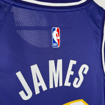 NBA Los Angeles Lakers 2025/2026 purple Jersey