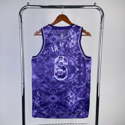 NBA Los Angeles Lakers #6 LeBron James special edition Jersey