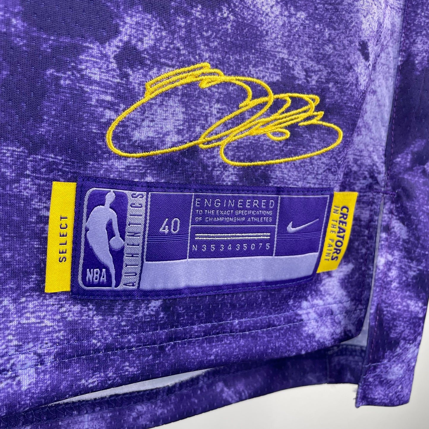 NBA Los Angeles Lakers #6 LeBron James special edition Jersey