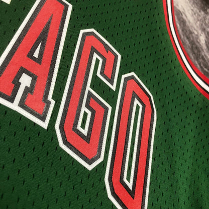 NBA Chicago Bulls 2008/09 #1 Derrick Rose classic Jersey