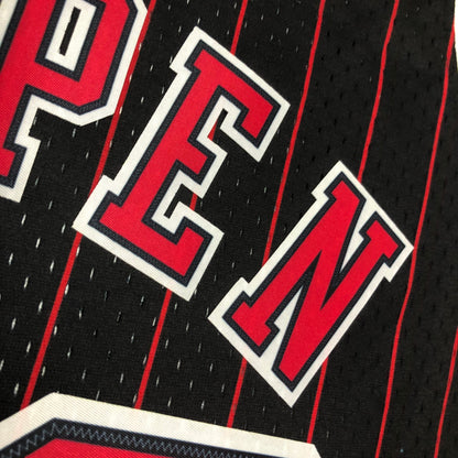 NBA Chicago Bulls 1995/96 #33 Scottie Pippen  classic Jersey
